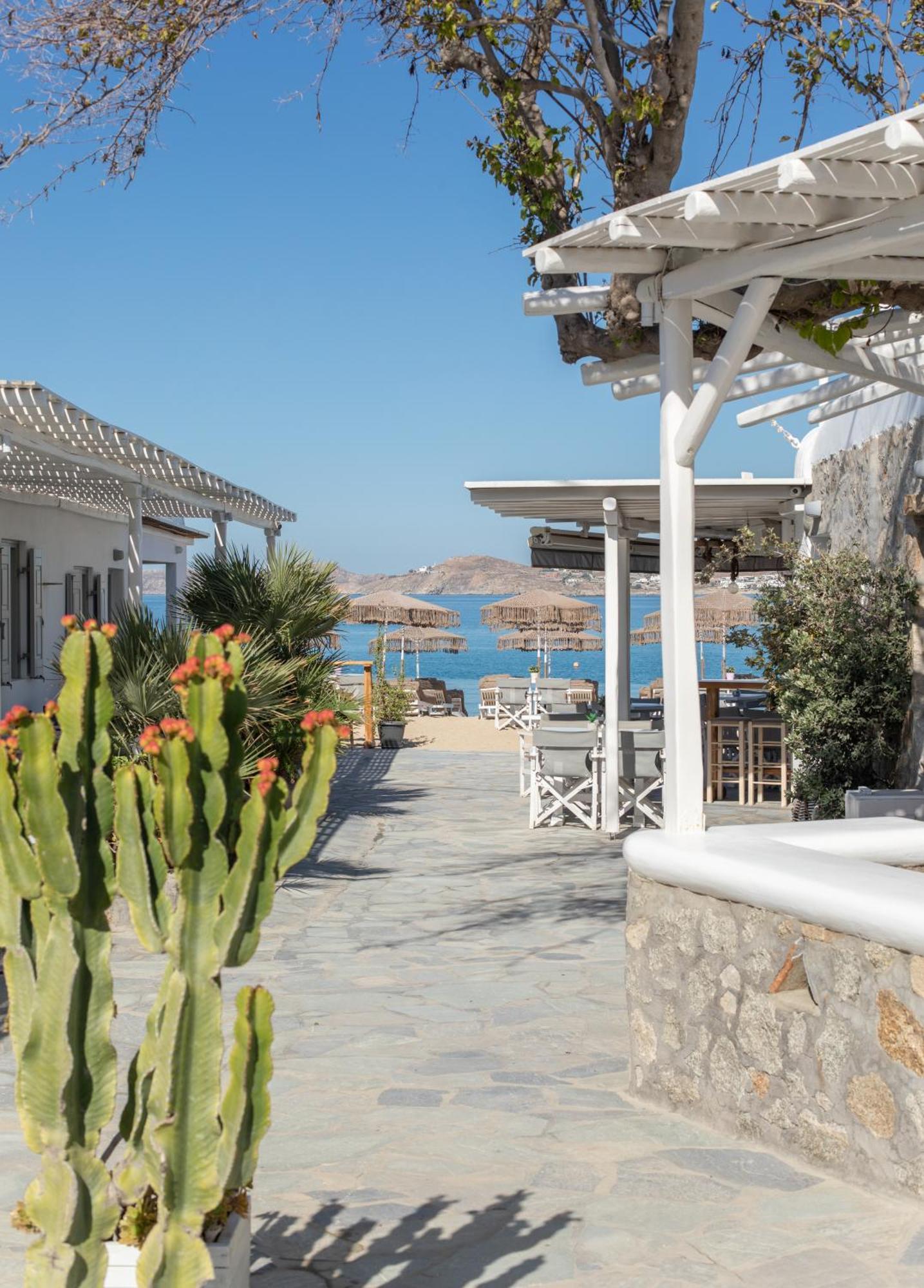 Agia Anna Beachfront Boutique Hotel Paraga (Mykonos)